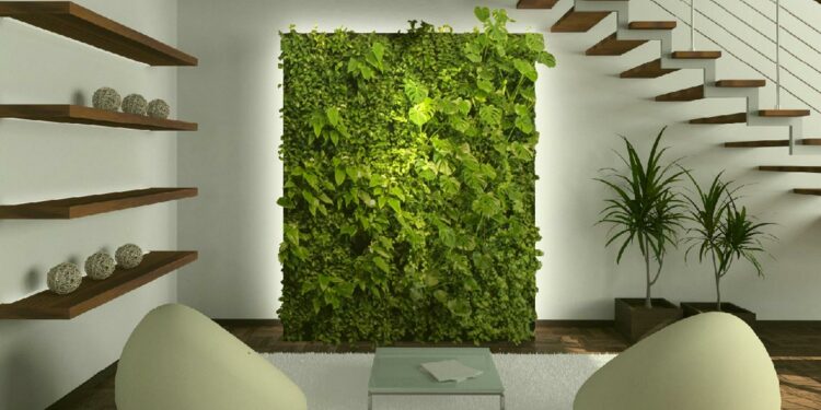 Mur végétal intérieur