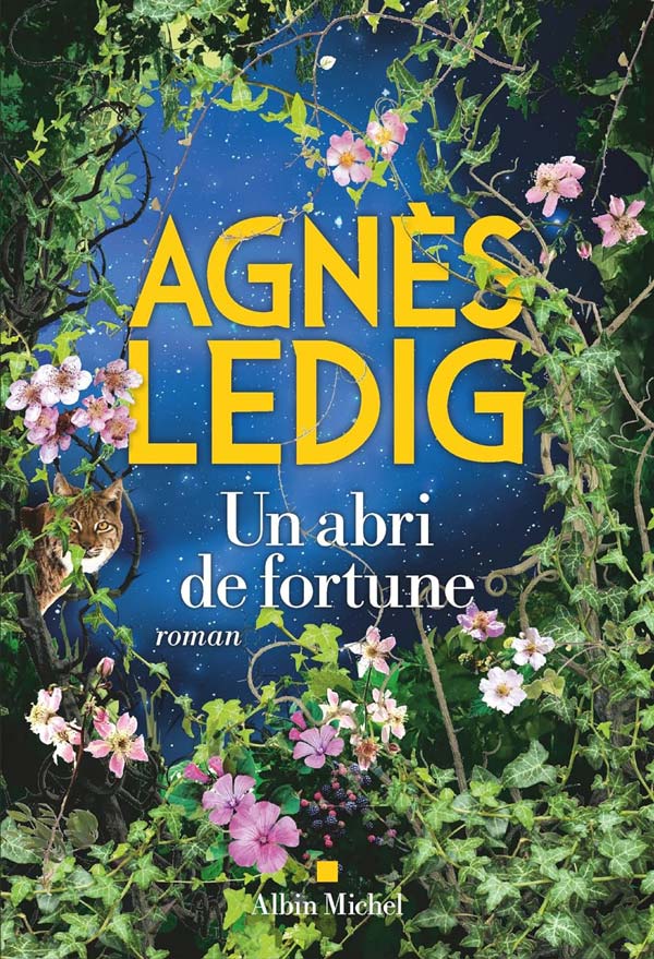 Un abri de fortune d'Agnès Ledig