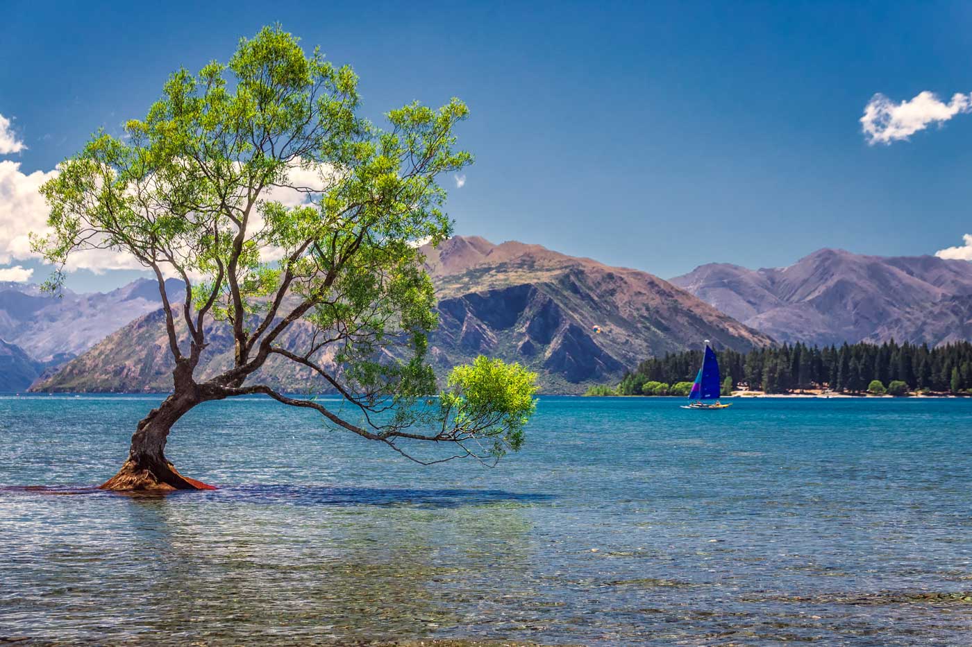 New Zealand Lac Wanaka